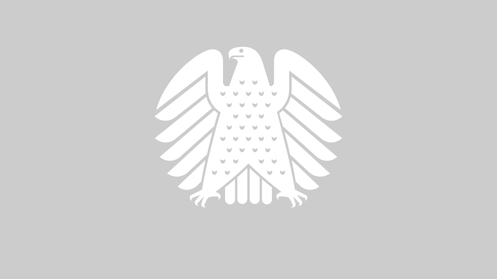 Symbolbild: Die Stadtumrisse der Stadt Berlin umreißen die Berlinfahne mit dem Bären und einem Wahlkreuz.